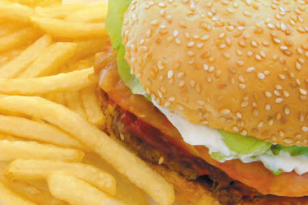 Delicious hamburger and fries compositionの写真素材