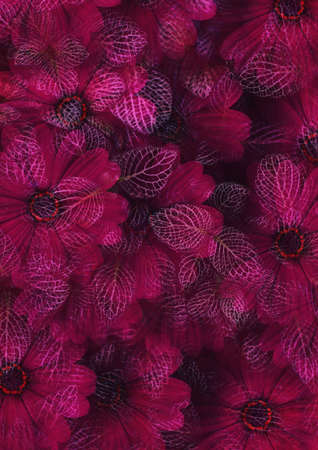 absstract flower background