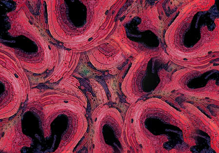 Abstract colorful texture background. Greeting card  template , dynamic shape imageの写真素材