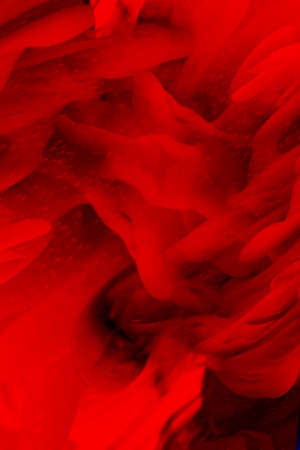 Artistic colorful frame with different elements. abstract background art style bright shiny colors, geometric design.の写真素材