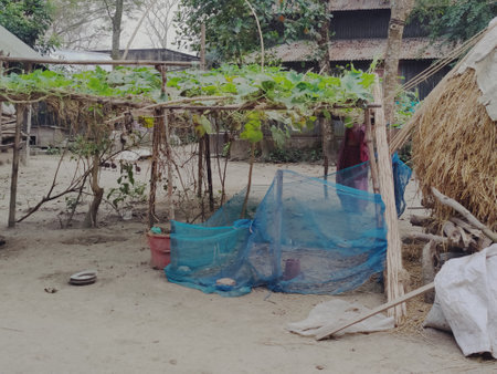 Fishing nets on the beach of a village in the south of Thailand