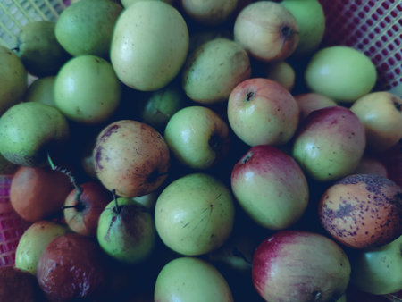 jujube fruit, jujube in the basket.の写真素材