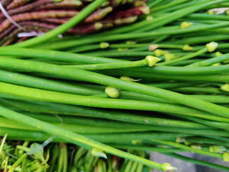 Fresh chives in the market, Thailand. Selective focus.