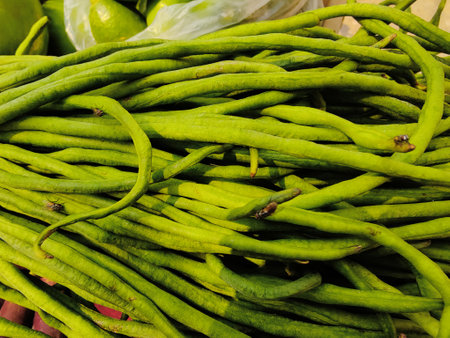 Green beans in the market, closeup of green beans in the marketの写真素材