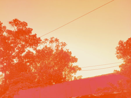 beautiful view of the forestの写真素材