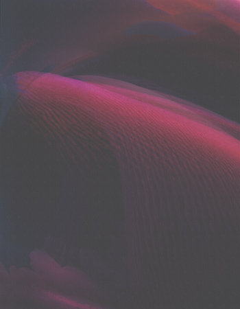 Abstract colored motion blur background with wave smooth shapes , backdrop for your graphic design