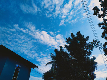 Tropical blue sky with white clouds and tree in the foregroundの写真素材