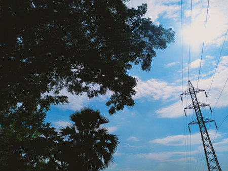 Green trees against the beautiful blue sky and sun.の写真素材