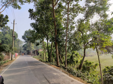 View on the road from Jalan Saujana to Jalan Saujana.の写真素材