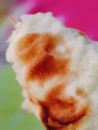 Close-up of fried pancake on white plate.の写真素材