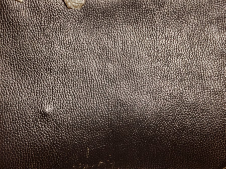 leather texture background surface with old natural pattern or old leather texture background.の写真素材