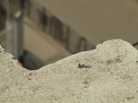 close up of a stone wall in a residential area in the city