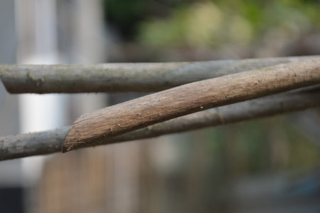 Wooden stick in the garden,Thailand,selective focus