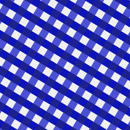 Seamless plaid pattern. Vector illustration. Blue and white.