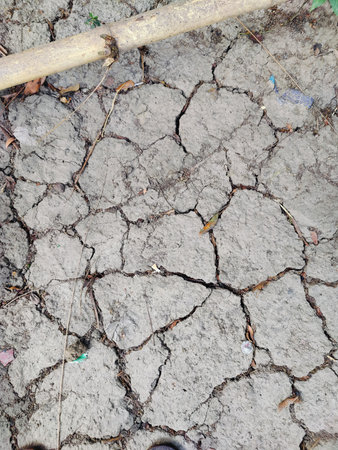 Dry cracked earth texture. Global warming, climate change concept.