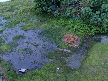 Dirty pond in the city. Water pollution. Environmental pollution.