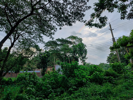 Rainbow over the forest with trees in the morning. Thailand.