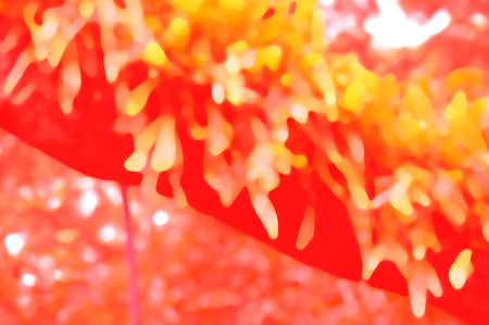 abstract background with red and yellow leaves bokeh defocusedの写真素材