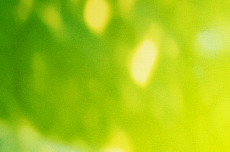 Abstract green background with bokeh defocused lights and shadow.