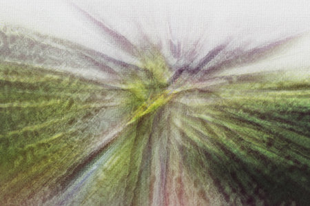 abstract green and purple background with grunge brush strokes on canvas