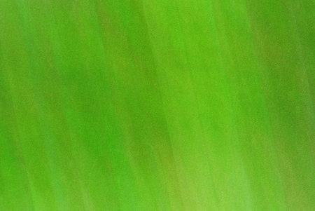 abstract green background with some smooth lines in it and some grunge effects