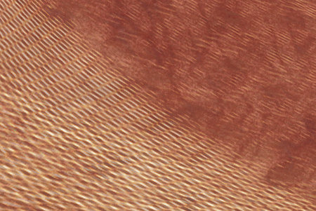 abstract brown background texture for multiple projects like science, music, art, spiritual,...
