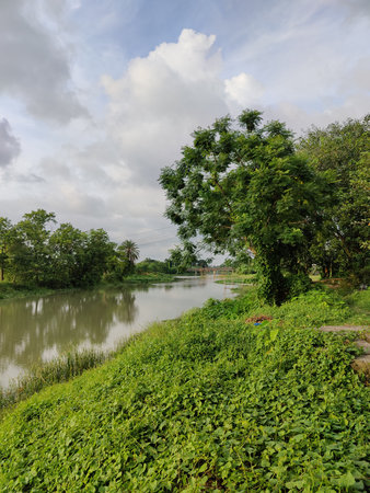 river and trees in the countryside of thailand with a cloudy skyの写真素材