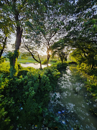 Beautiful landscape of green forest and lake in the morning at sunrise