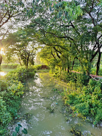 river in the forest at sunset,Thailand,selective focus