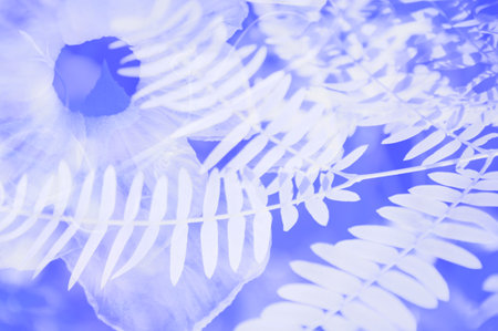 sweet color flower in soft color and blur style on mulberry paper texture