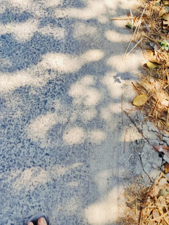 The shadow of the tree on the cement floor,abstract background