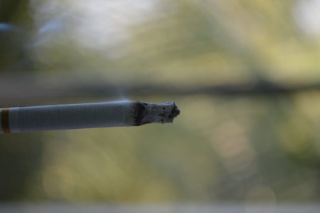 Cigarette on the background of a blurry green nature background.の写真素材
