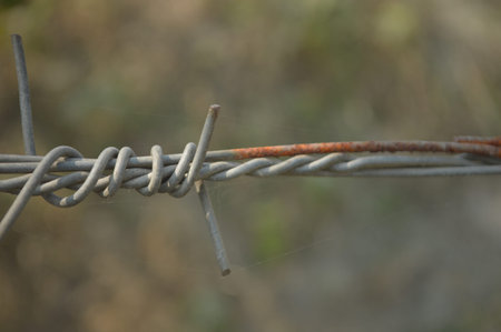 Close-up of rusty barbed wire wrapped around a fence with green leaves and soft bokeh background,...