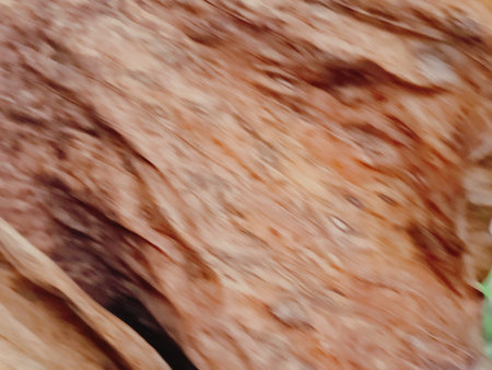 abstract background of the texture of the bark of an old tree