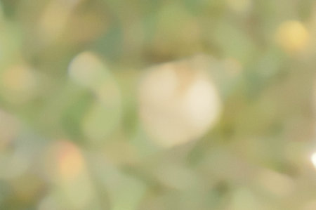 blurred bokeh background, defocused background, defocused backgroundの写真素材