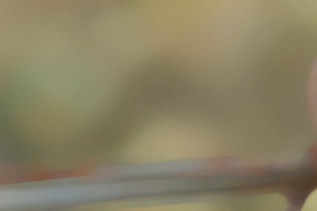 blurred background, abstract background, blurred background, blurred background, blurred backgroundの写真素材