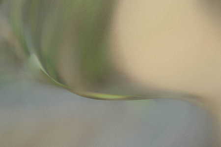 Bright summer bokeh background with blurred light patterns with smooth curve shapes, perfect for nature, seasonal, and abstract design projects.の写真素材