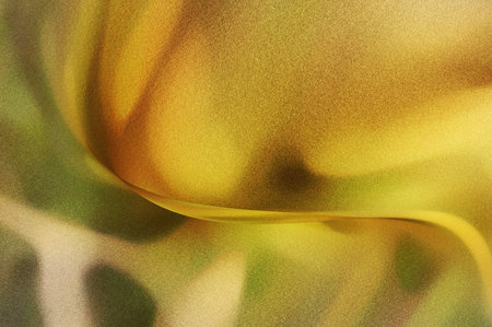 Bright summer bokeh background with blurred light patterns with smooth curve shapes, perfect for...
