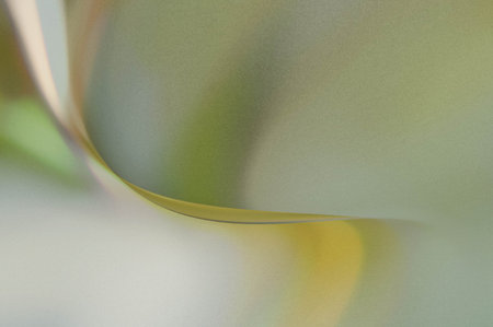 abstract background with soft white and yellow gradient and curved lines.の写真素材