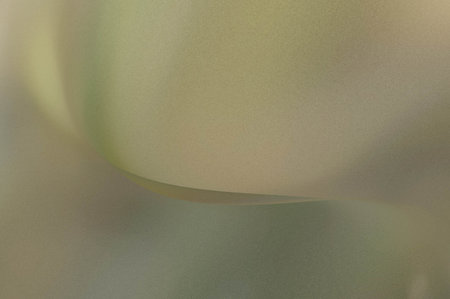 Bright summer bokeh background with blurred light patterns with smooth curve shapes, perfect for nature, seasonal, and abstract design projects.の写真素材