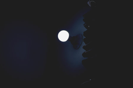 A single bright bulb casts a cool, moody glow against deep shadows and the silhouette of a...