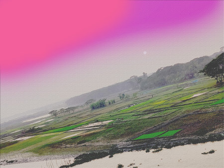 Aerial view of rice fields in the morning. Digital painting.