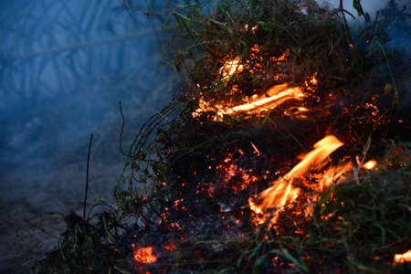 Bonfire background.の写真素材