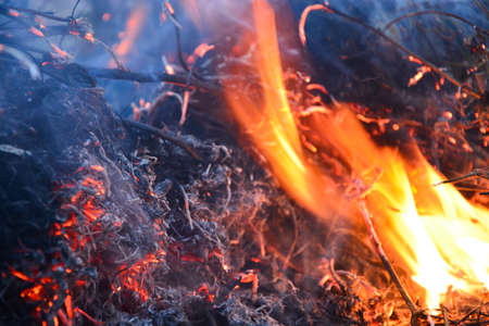 Bonfire
