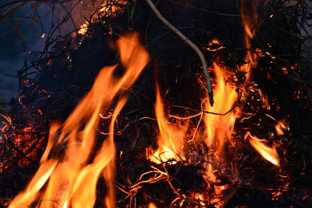 Bonfire