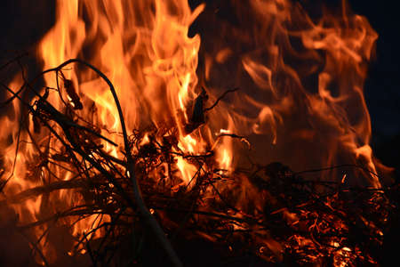 Bonfire
