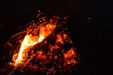 Bonfire