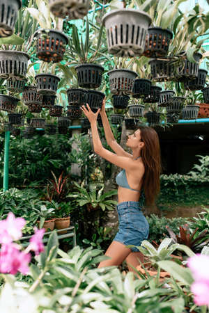 cute seductive young girl in a sexy top with blue eyes posing in a green garden with hanging green pots of plants outdoorsの写真素材