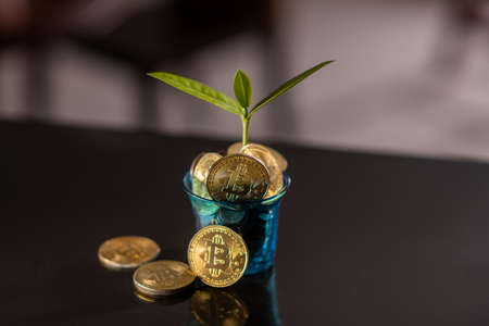 Bitcoin price increase chart. Bitcoins and New Virtual moneyの写真素材