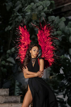 Halloween idea. Woman with red demon wingsの写真素材